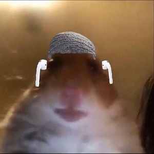 Meet your Posher, Nathan